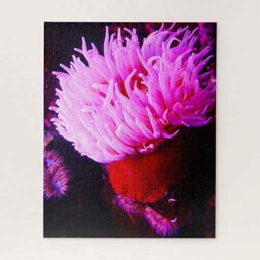 Anemonie Puzzle (Vertikal)