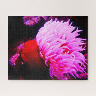 Anemonie Puzzle