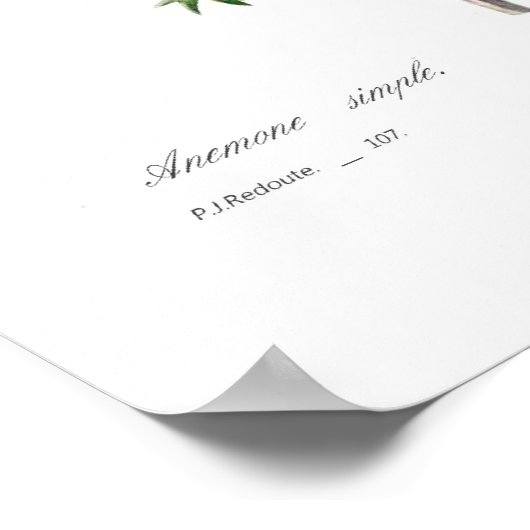 Anemonies Poster (Ecke)