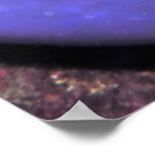 Anenomefisch in Anenome Poster (Ecke)