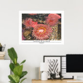 Anenomes Poster (Heimbüro)