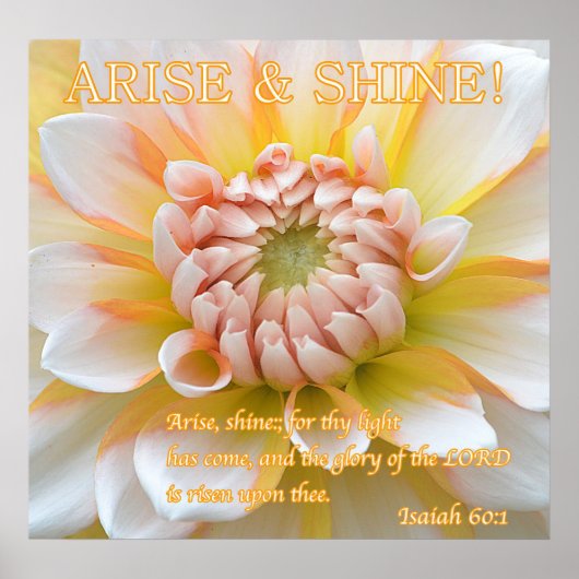 Anfahrt & Shine Poster (Vorne)