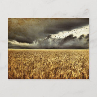 Anfahrt zur Storm-Postkarte Postkarte