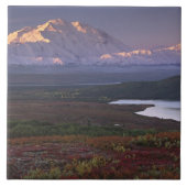 Anfang September im Nationalpark Denali aufgenomme Fliese (Vorderseite)