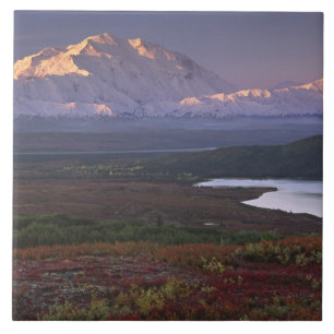 Anfang September im Nationalpark Denali aufgenomme Fliese