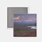 Anfang September im Nationalpark Denali aufgenomme Magnet (Vorderseite/Rückseite)
