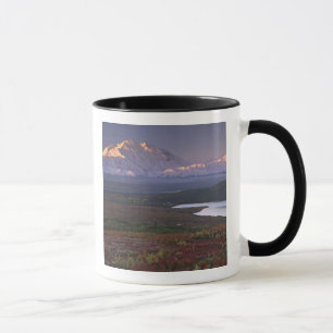 Anfang September im Nationalpark Denali aufgenomme Tasse