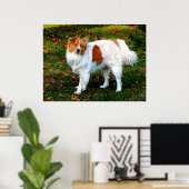 ANFANG UNTER $20 - Collie on Lawn Poster (Heimbüro)