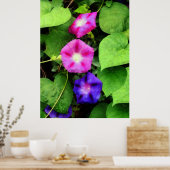 ANFANG UNTER $20 - Rosa und Lila Morgenglori Poster (Küche)