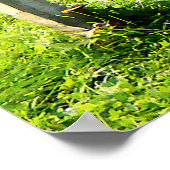 ANFANG UNTER $20 - Scarecrow Poster (Ecke)