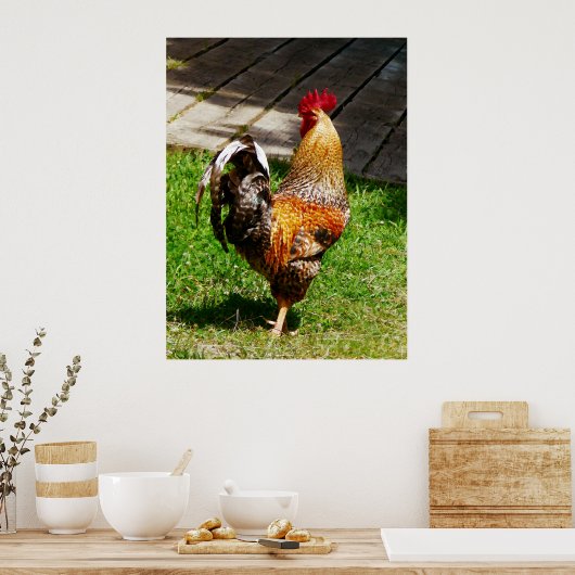ANFANG UNTER $20 - Strutting Rooster Poster (Küche)