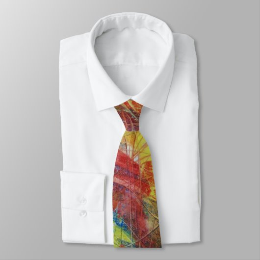 Anfänge 1 krawatte (Gebunden)