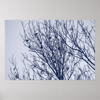 Anfänge in einem Baum Poster