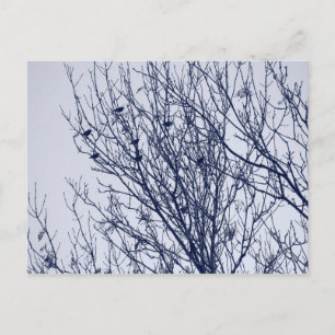 Anfänge in einem Baum Postkarte