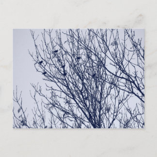 Anfänge in einem Baum Postkarte