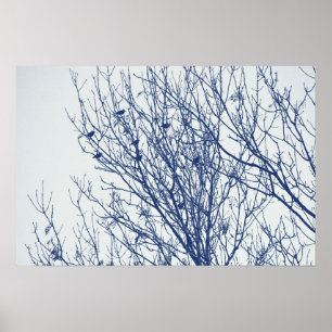 Anfänge in einem Tree - Cyanotypeffekt Poster