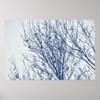 Anfänge in einem Tree - Cyanotypeffekt Poster