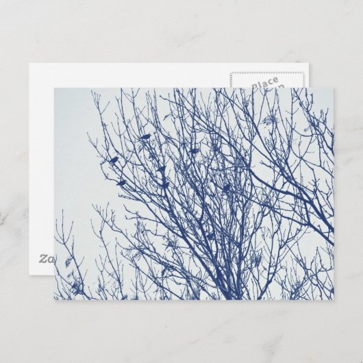 Anfänge in einem Tree - Cyanotypeffekt Postkarte (Vorne/Hinten)