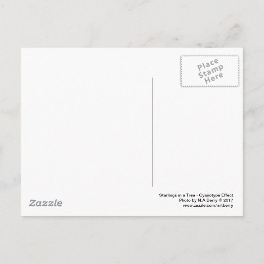 Anfänge in einem Tree - Cyanotypeffekt Postkarte (Rückseite)