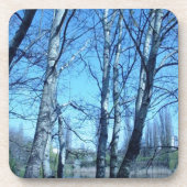 Anfängerfeder Getränkeuntersetzer (Vorderseite)