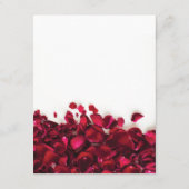 Angaben zu Hochzeiten von rote Rosen Begleitkarte (Rückseite)