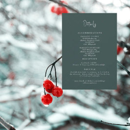 Angaben zur aquamarinen Hochzeit Einladung