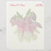 Angebaute Kolumine Letterhead Gelb Briefbogen (Vorne/Hinten)