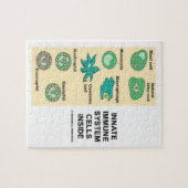 Angeborene Immunsystem-Zellen innerhalb der Puzzle (Horizontal)