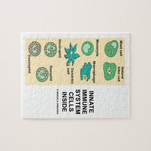 Angeborene Immunsystem-Zellen innerhalb der Puzzle (Horizontal)