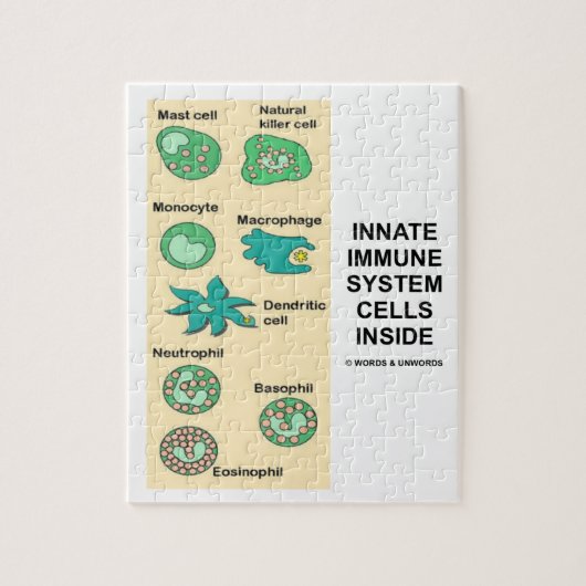 Angeborene Immunsystem-Zellen innerhalb der Puzzle (Vertikal)