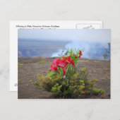 Angebot an Pele, Hawaiianische Vulkangöttin Postkarte (Vorne/Hinten)