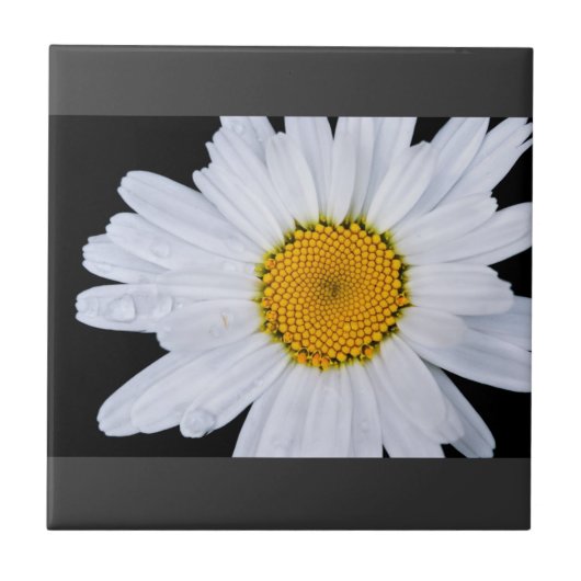 Angebot Fliese (Vorderseite)