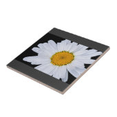 Angebot Fliese (Seite)