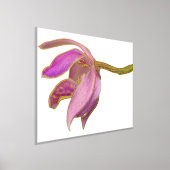 Angebot hinzufügen / Farbige Hintergrundfolie Akze Foliendrucke (Ablage )