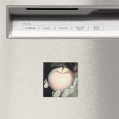 Angebot Magnet (In Situ (Geschirrspüler))