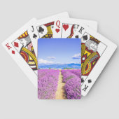 Angebot Spielkarten (Rückseite)