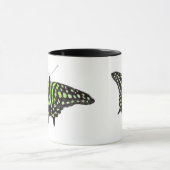 Angebundenes Jay-grüne und schwarze Tasse (Zentrum)