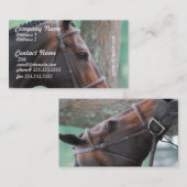 Angeheftete dunkle Bucht-PferdeVisitenkarten Visitenkarte (Vorne/Hinten)