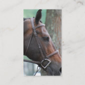 Angeheftete dunkle Bucht-PferdeVisitenkarten Visitenkarte (Rückseite)