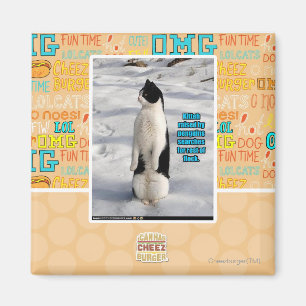 Angehoben durch Pinguine Magnet