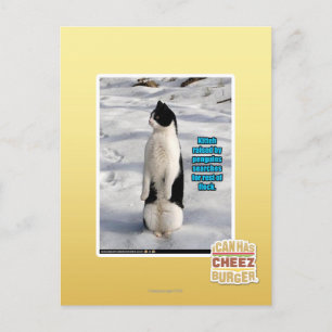 Angehoben durch Pinguine Postkarte