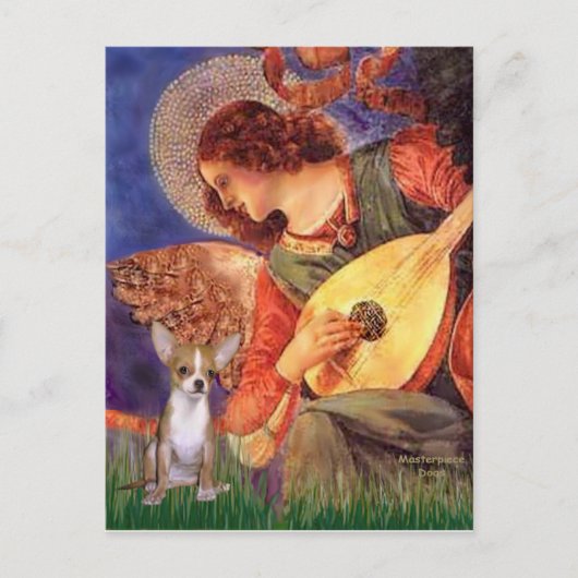 Angel3-Chihuahua1 Postkarte (Vorderseite)