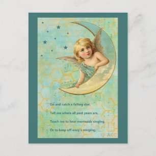 Angel auf dem Halbmond Postkarte