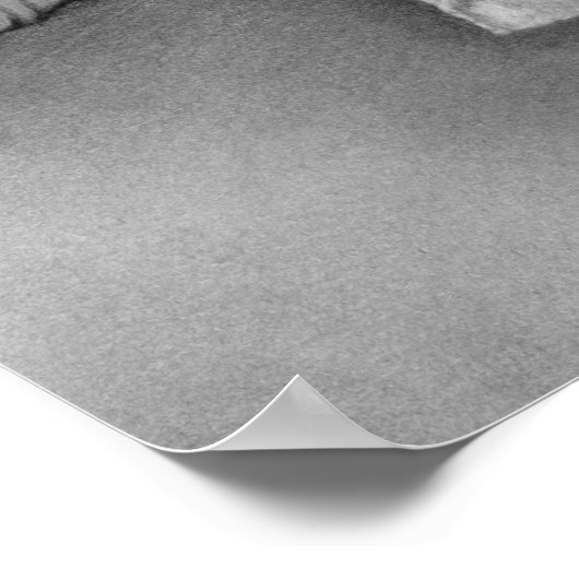 Angel Bunny Poster (Ecke)