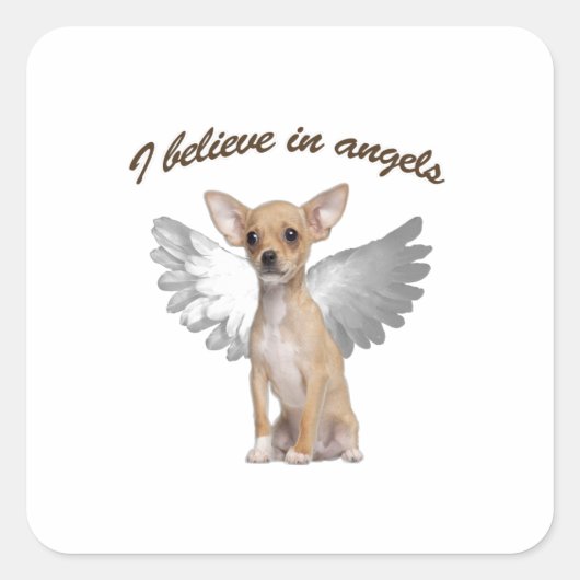 Angel Chihuahua Quadratischer Aufkleber (Vorderseite)