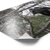 Angel Crow Fotograf Fotodruck (Ecke)