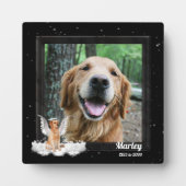 Angel Dog Golden Pet Memorial Foto Fotoplatte (Vorderseite)