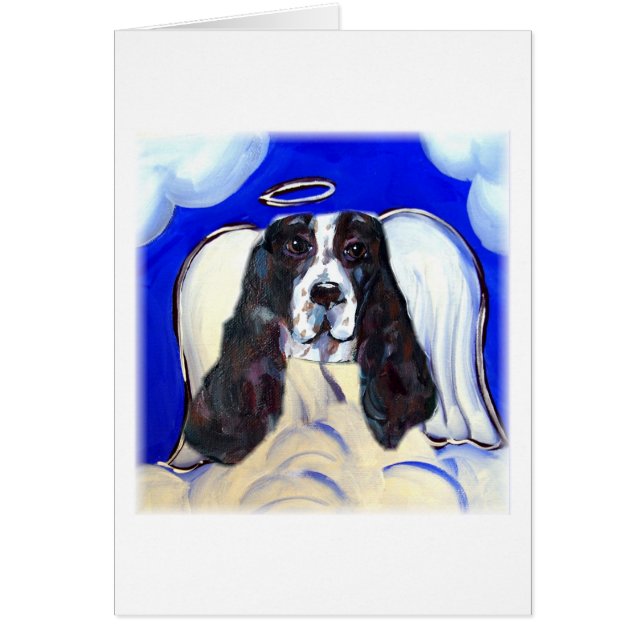 Angel English Springer Spaniel (Vorne)