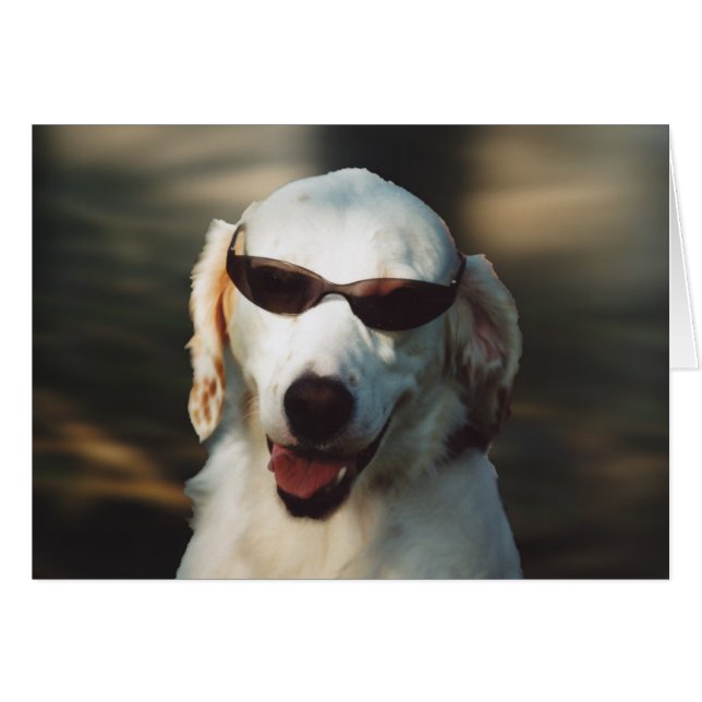 Angel Eyes (Vorderseite (Horizontal))