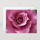 Angel Face II Postcard Postkarte (Vorne/Hinten)